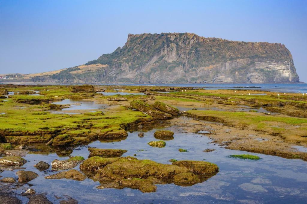 Hotel Aroha Jeju Seogwipo Bagian luar foto